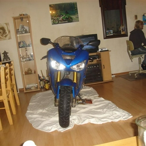 DSC03356 (Medium).JPG