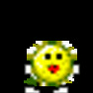 discosmilie.gif