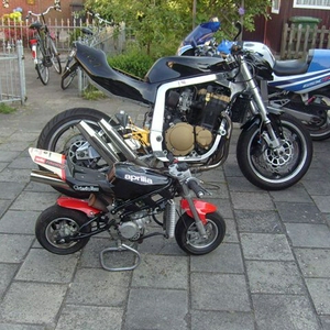 S7300230.JPG