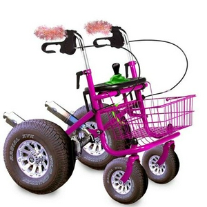 pimp_rollator.jpg