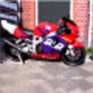 MaarRRten 01.gif