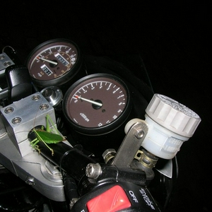 DSCN0645.jpg