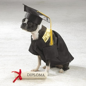 Graduation_zw867.jpg