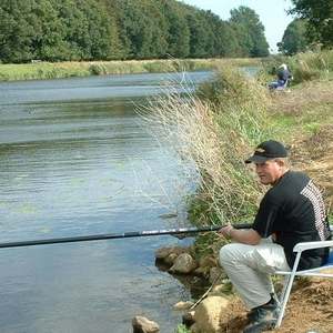 vissen.jpg