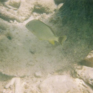 F1000003 (Small).JPG