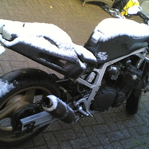 ingesneeuwd.jpg