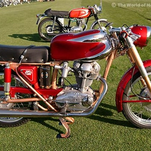 ducati_200-super-sport (Small).jpg