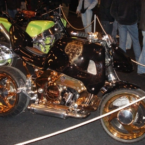 DSC01764.jpg