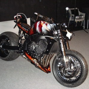 DSC01768.jpg