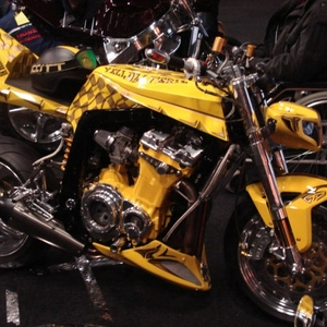 DSC01773.jpg