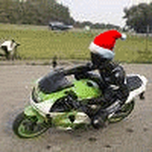 avviemf2.gif