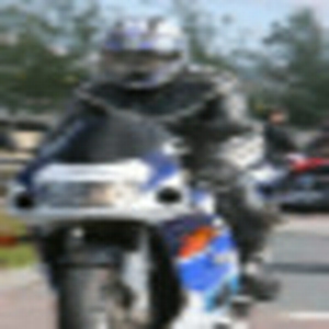 Roy229.gif
