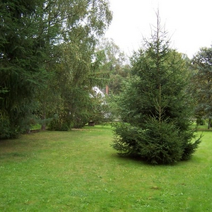 100_1514 (Medium).JPG
