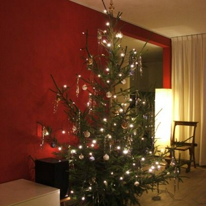 DSCF4108.jpg