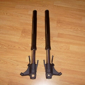 s7300763_962.jpg