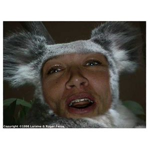 koala2.jpeg