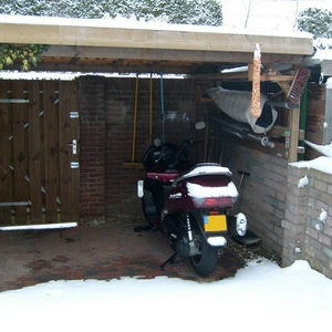 Winter.jpg