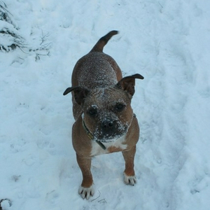 snow14.JPG