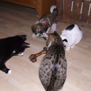DSCF1261.jpg
