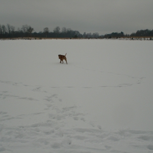 DSC03742.JPG