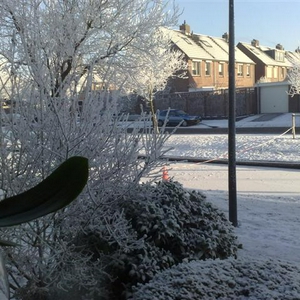 09012009123 (Small).jpg