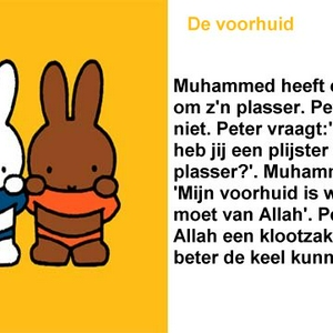 voorhuid.jpg