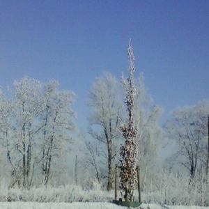Foto's-0010.jpg
