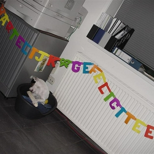 Blitzer5jaar.JPG