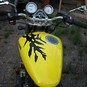 tweety2.jpeg