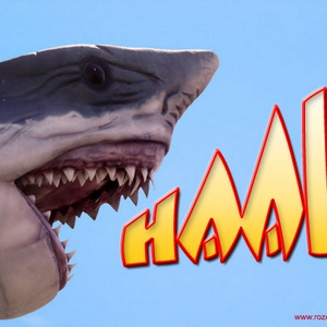 haai_jan.jpg