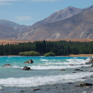 DSC_2377.JPG