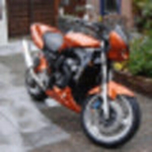 Joshi76.gif
