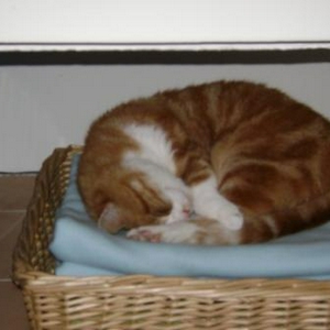 kat 4.JPG