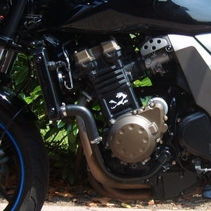 S5000698.JPG