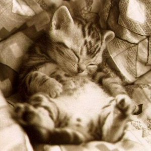 sleepy.JPG