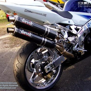 suzuki.JPG