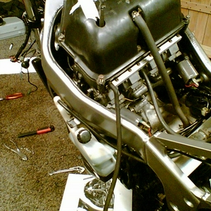 Afb019.jpg