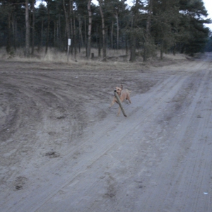 DSC03862.JPG