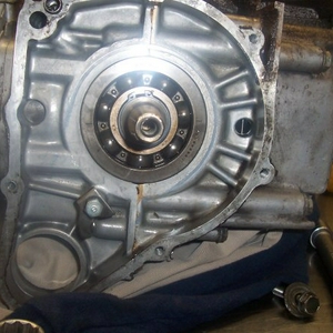 t037.jpg