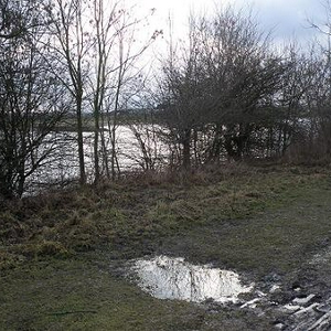 vergezicht plus plasje water.jpg