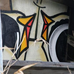 Graffity vogels.jpg