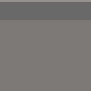 leeg-top.gif