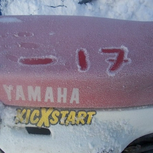 100_6846.jpg