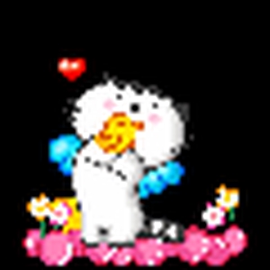miau2.gif
