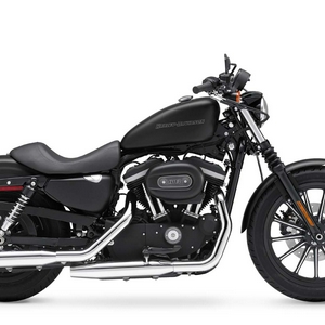 Iron 883 topic