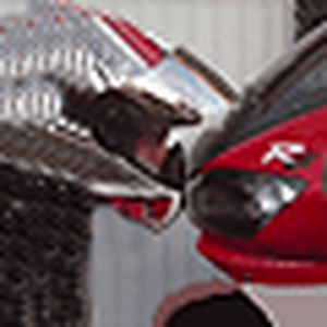 kus2.gif