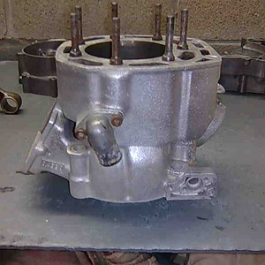 Cil.jpg