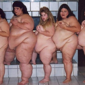 modelos.jpg