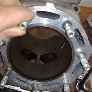 B8.jpg