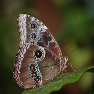 DSC_5513.jpg